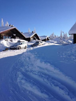 Ski-in ski-out Sälen Högfjället 4-6 bäddar